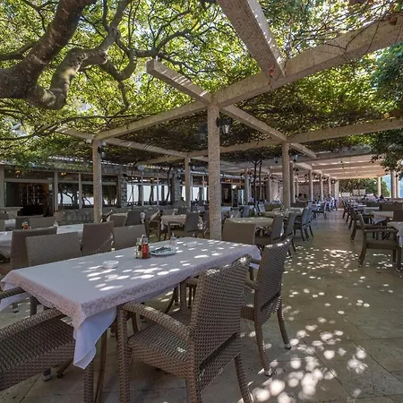 Dubrave Bed & Breakfast Budva